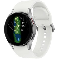삼성전자 갤럭시 워치 4 골프에디션, SM-R860N, 실버, 40mm, GPS