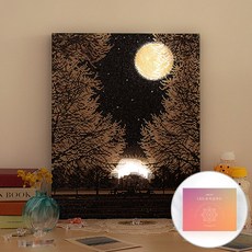ARTJOY DIY LED 鑽石畫 (畫布款) 40x50cm, 1套, 寂靜的森林
