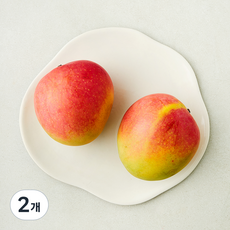원월드 호주산 애플망고 2입, 2개, 910g
