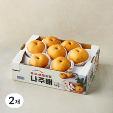 다복 당도선별 알뜰 나주배, 2개, 5kg(6~12입)