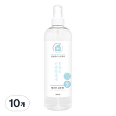 홈닥터 룸 & 에어 스프레이 옷장 & 신발장냄새, 500ml, 10개