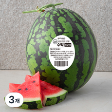 곰곰 당도선별 수박, 3kg 이상, 3개