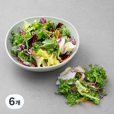 레드 채소믹스, 300g, 6개