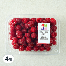 국내산 과일진심 산딸기, 4개, 250g