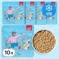 테이스트오브네이쳐 강아지 화식사료 냉동, 오리, 100g, 10개