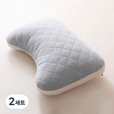 기절베개 테리타올 베개솜 + 베개커버 세트, 그레이, 2세트