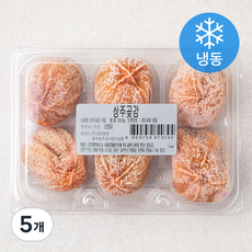 네이처원 상주곶감 (냉동), 5개, 300g(6입)