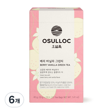 오설록 베리 바닐라 그린티 티백, 2g, 20개입, 6개