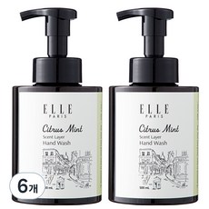 엘르 퍼퓸 버블 핸드워시 시트러스민트, 6개, 500ml