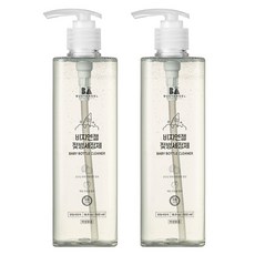 비지엔젤 액상형 젖병세정제, 500ml, 2개