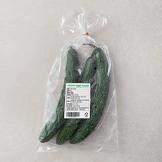 국내산 가시오이, 500g, 1개