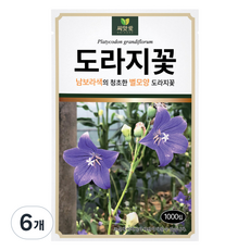다농 씨앗애 도라지꽃 씨앗 1000p, 6개