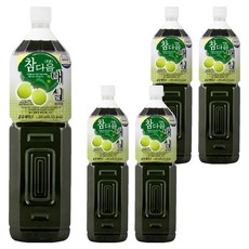 파낙스 참다음 매실, 1.5L, 5개