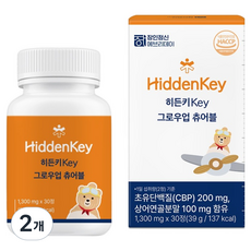 장인정신에브리데이 히든키Key 그로우업 츄어블 39g, 2개, 30정