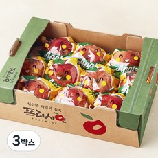 프레샤인 당도선별 충주 세척 사과, 2kg(중과), 3박스