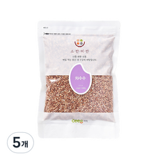 씨익 소반미반 차수수, 500g, 5개