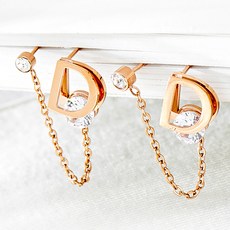 Noid B Noid B 外科鋼立方銀 D 兩針耳環一對