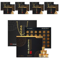 광동 일품기력보환 30환 + 쇼핑백 세트, 112.5g, 5개