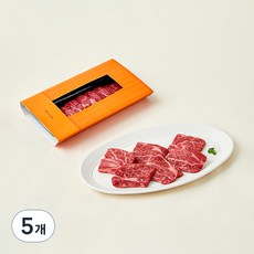 설로인 한우 1++등급 로스 숙성등심 200g (냉장), 5개