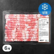 푸드랩플러스 미국산 대패 차돌박이 (냉동), 1kg, 6개