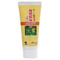 小林製藥 生葉 齒槽膿漏 潔淨牙膏hc/hb加強型 預防牙齦出血、紅腫 強化牙齦組織 保持口氣清新, 1入, 100g