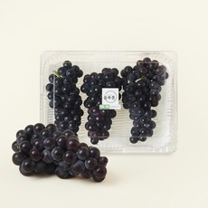 올푸릇 GAP 인증 이인미 농부의 저탄소 캠벨포도, 1개, 1kg
