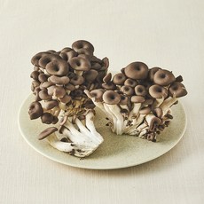친환경 느타리버섯, 400g, 1팩