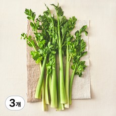 친환경 주스용 셀러리, 500g, 3개