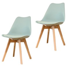 일상도구 인테리어 에펠 카페 식탁 의자, 라이트 그린, 2개