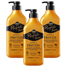 엘라스틴 프로폴리테라 건조하고 손상된 모발용 샴푸, 500ml, 3개