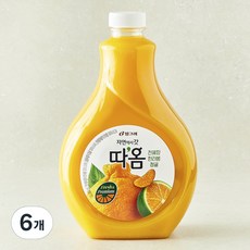 따옴 천혜향 한라봉 청귤, 1.6L, 6개