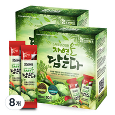 조은약초 자연을 담는다 프리미엄 노니환 스틱, 90g, 8개