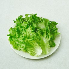 무농약 인증 스마트팜 소프트믹스 샐러드 채소, 100g, 1개, 1개입