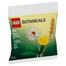 LEGO 樂高 30701 Botanicals 清新野花, 1個, 混和顏色