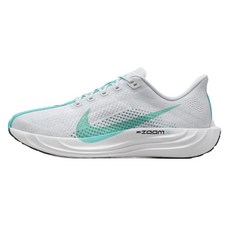 NIKE 耐吉 男款 Pegasus Plus FQ7262-004