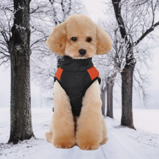 狗狗基本款撞色拼接拉鍊型雙D型環尼龍連身衣, 橘子