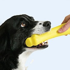 WO 터그 강아지 장난감 본 SM, 옐로우, 1개