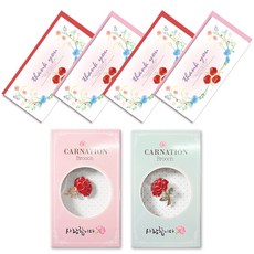 康乃馨愛心胸針 2款 + 水彩花朵零用錢卡 4入組, THANKYOU, 1套