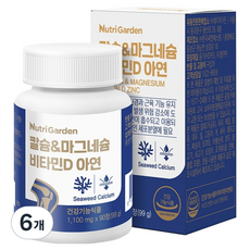 뉴트리가든 칼슘 마그네슘 비타민D 아연 99g, 6개, 90정