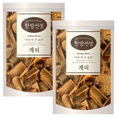 한방선생 사각 계피, 100g, 1개입, 2개