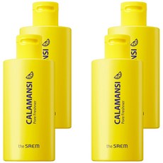 더샘 깔라만시 포어 프레쉬너, 270ml, 4개