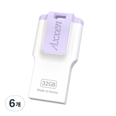 액센 i Passion USB 2.0 메모리 퍼플 Axxen H43 QUAD, 32GB, 6개