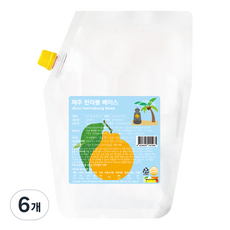 서울팩토리 제주 한라봉 베이스, 6개, 1kg