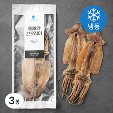 오션브라더스 동해안 건오징어 (냉동), 100g(2마리), 3봉