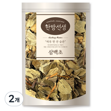 한방선생 국내산 삼백초 잎, 100g, 2개