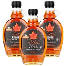 OrganicStory 록키릿지 유기농 메이플시럽, 227g, 3개