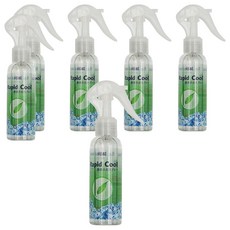 HSAE Rapid Cool 急涼降溫噴劑 綠茶香氛 L-薄荷醇 瞬間降溫 持續力長, 100ml, 6瓶
