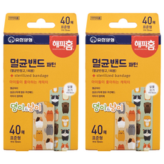 해피홈 멸균밴드 패턴 표준형, 40개입, 2개