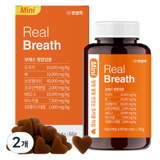 펫생각 강아지 데일리케얼 영양제, 31정, 호흡기/기관지, 2개 31정, 호흡기/기관지, 2개