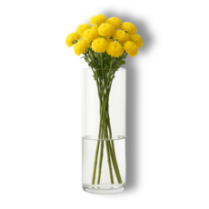 VIVID HOUSE 不易碎大型花瓶